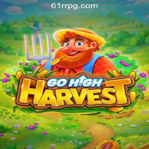 61RR.com Oficial Slots Brasil #1 Card Games